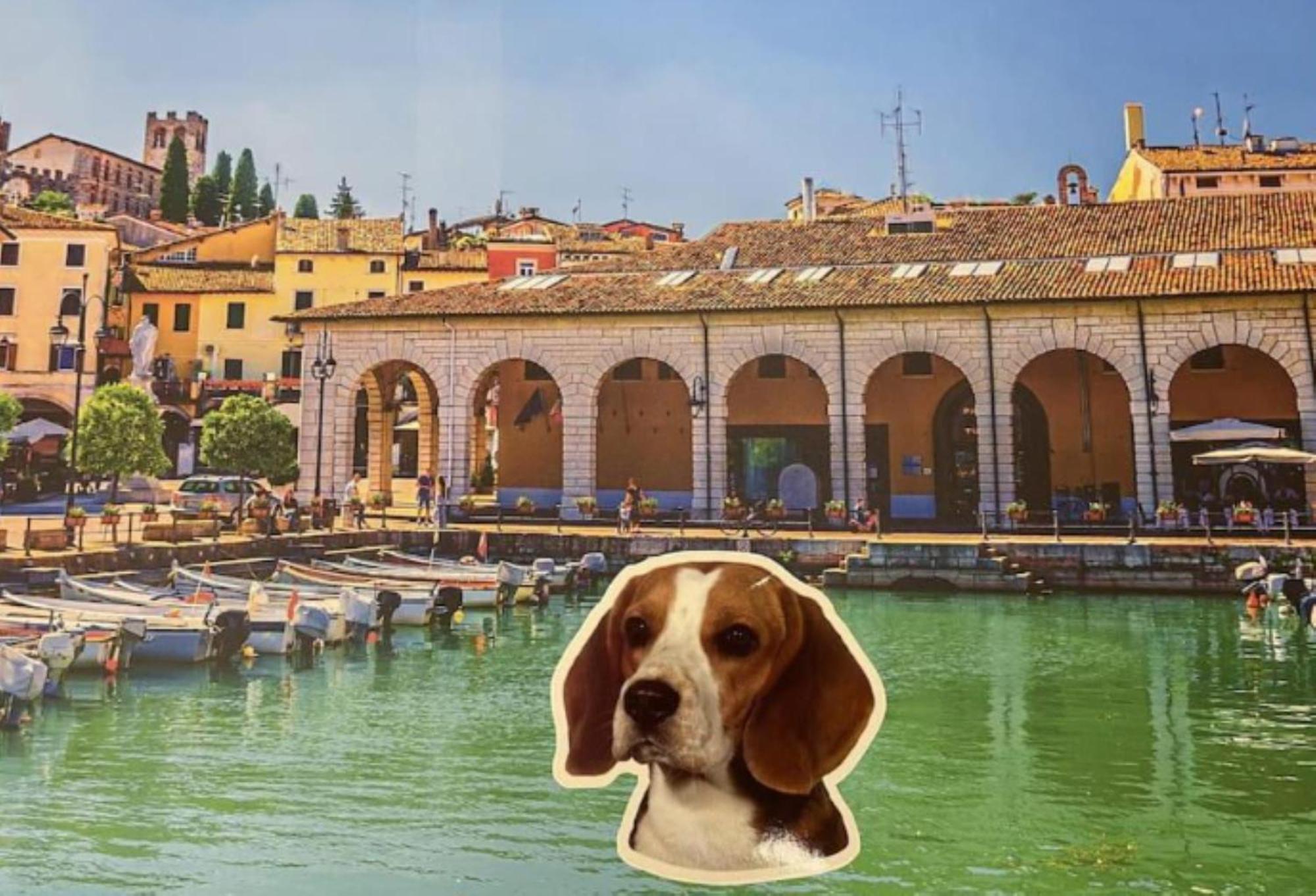 Desenzanoloft Official Partner Marriott Homes & Villas - Jack'S Penthouse Desenzano del Garda Bagian luar foto